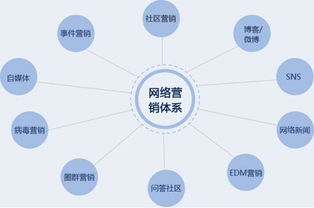 白丁傳媒 助力中小企業(yè)網(wǎng)絡(luò)推廣的數(shù)字化絲綢之路