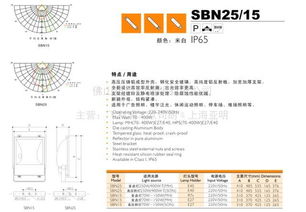 網絡工程 構筑數字時代的互聯基石