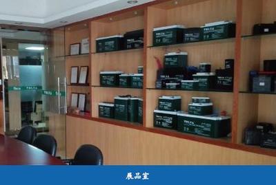 腳踏實地 志存高遠——訪佛山市尤尼電池總經理彭濱先生